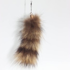 Fosrion Real Raccoon Tail Fur Cat Bites Toy with Three Section Retractable Carbon Fiber Rod (Raccoon, Tail & Fishing Rod)