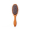 P-UP Xterahertz Cushion Brush