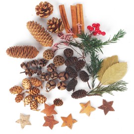 LIAILA 58-Piece Natural Plant Decoration Accessories, Craft Set as Christmas Wreath, Natural Accessories for Plant Decoration, Including Poplar Cones, Maple Cones, Spruce Cones, Birch Bark Stars