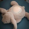 Nattou LED-Nachtlicht Koala-Bär, Sternhimmel-Projektor, 3 LED-Farben, 5 Klänge und Lieder,