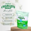 Charlie’s Soap Laundry Powder (100 Loads, 2 Pack) Hypoallergenic Deep