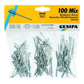Gesipa 639.11 Blind Rivet Assortment, Pack of 100