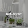 Prebioticos Probioticos Y Postbioticos Megabiotic 120 Caps