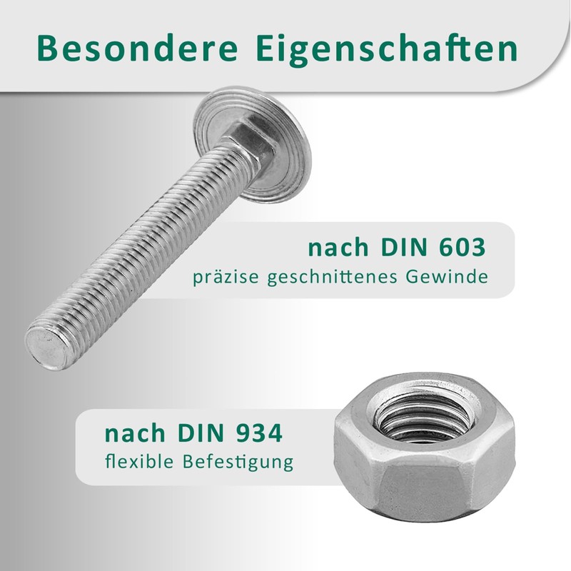DSM - Carriage Bolts M6 x 45 mm DIN 603