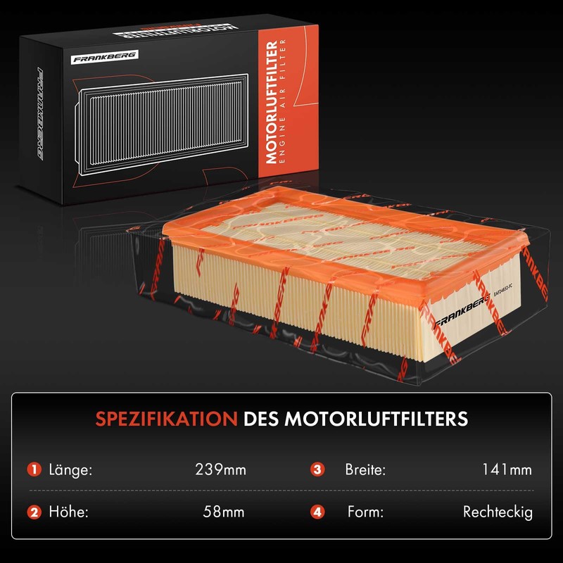 Frankberg Air Filter Insert Filter Compatible with Clio III BR0/1
