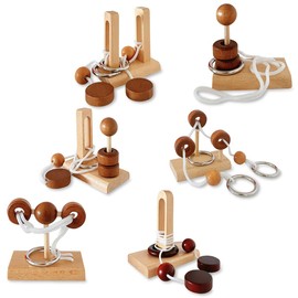SALUDABLE Brain Teaser, 3D Puzzle, Educational Toy, Wooden, Elementary School Students, Adults, Brain Training, Elderly, Hand Play, 6 Types
