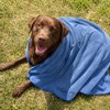 Gimars Super Absorbent Dog Towel, Microfibre Dog Drying Towel for