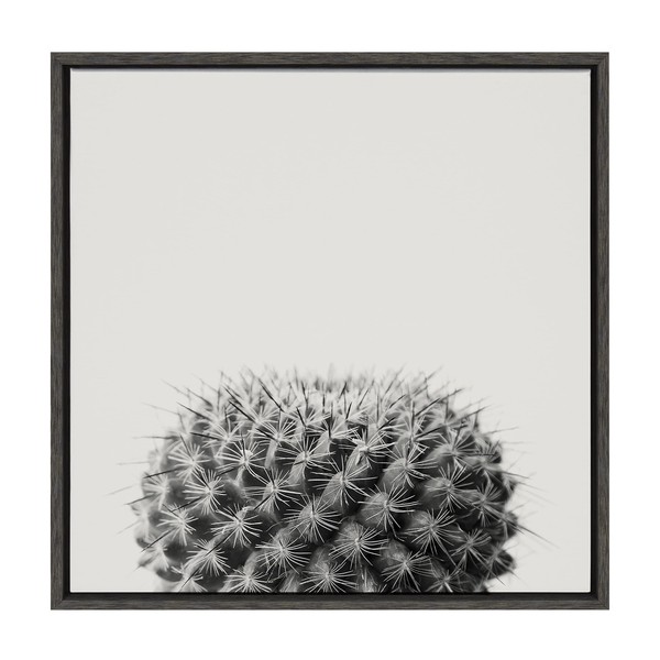 Kate and Laurel Sylvie Haze Succulent Cactus Short Framed Canvas