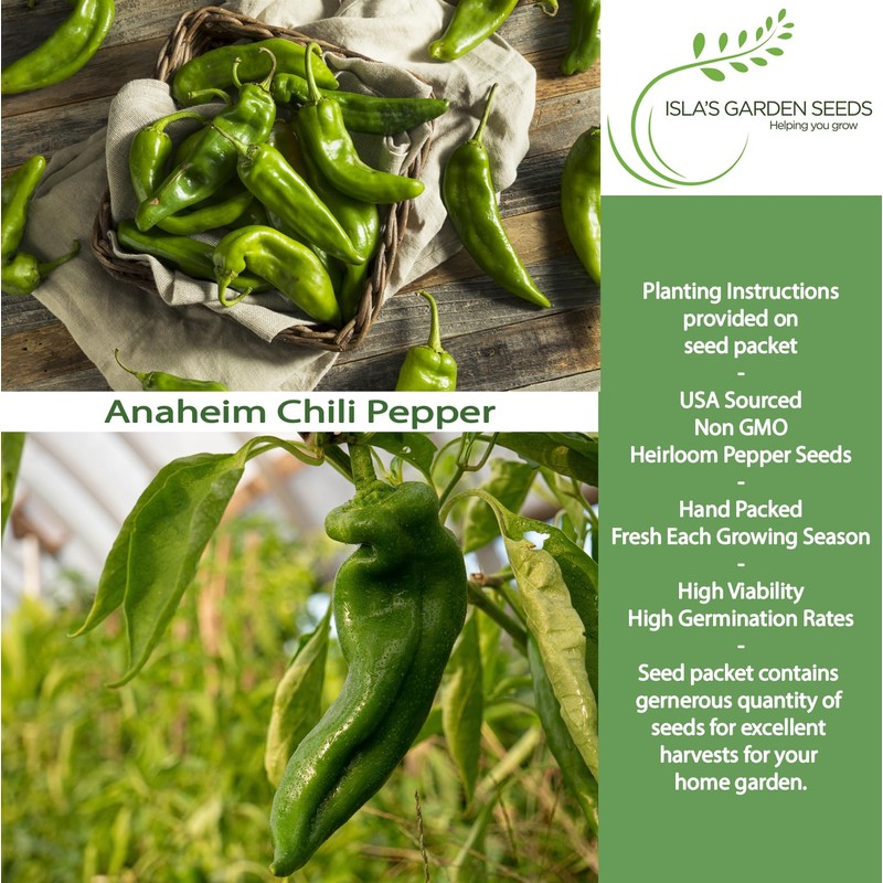 Anaheim Chili Pepper Seeds for Planting (Capsicum annuum) – 100+