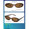 Teumire Retro Oval Sunglasses for Women Men Tiny Narrow 90s