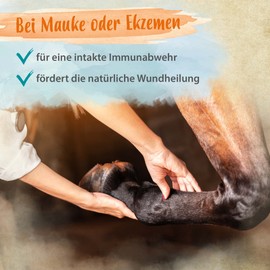 Ida Plus Biotin + Zinc - All-Round Supply - High Dose - Comparison Winner - Premium Zinc for Horses - Improves Hoof Quality - for Skin, Fur & Immune System - For Mauke, Hoof Problems & More - 750 g