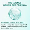 Garnier Micellar Water with Salicylic Acid, All-in-1 Mattifying Facial Cleanser