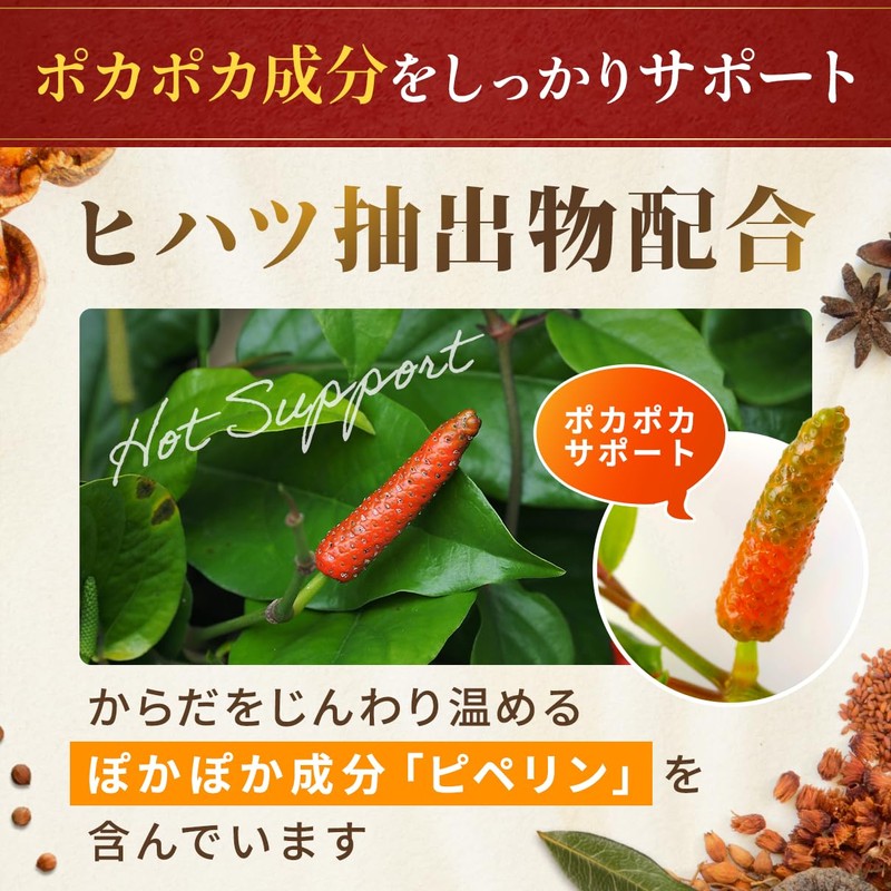 生姜 サプリ 寒い冬や冷房が苦手な方に「ホッと生姜粒」国産 生姜 使用 ショウガオール ヒハツ 和漢植物エキス 占部大観堂製薬【1ヶ月分】