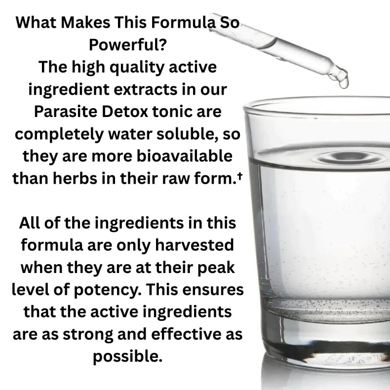 professional health product Vermex Anti-Parasite Treatment