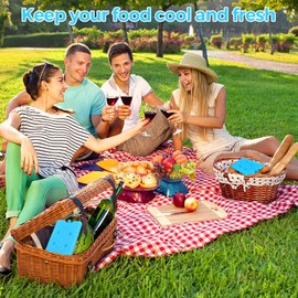 DIELOVEHUA Pack of 2 200 ml Ice Packs for Cool Bag, Ice Packs for Lunch, Reusable Ice Packs, Ice Packs for Cool Box, for Outdoor to Keep Food Fresh