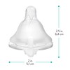 Evenflo Feeding Balance + Wide Neck BPA-Free Silicone Medium Flow