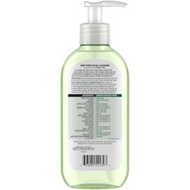 Garnier Skin Active Face Wash with Green Tea for Oily Skin 6.7 lbs oz.Size / 녹차 지성 피부를 사용한 가르니에 스킨 액티브 페이스 워시 6.7파운드 온스. Size