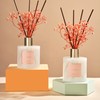 Cocorrína Premium Reed Diffuser Set with Preserved Baby's Breath &