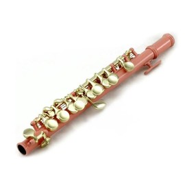 Sky Band Approved Piccolo Key of C with Hard Case, Cloth, Cleaning Rod, Joint Grease and Screw Driver, Beautiful Sound (Pink/Gold)