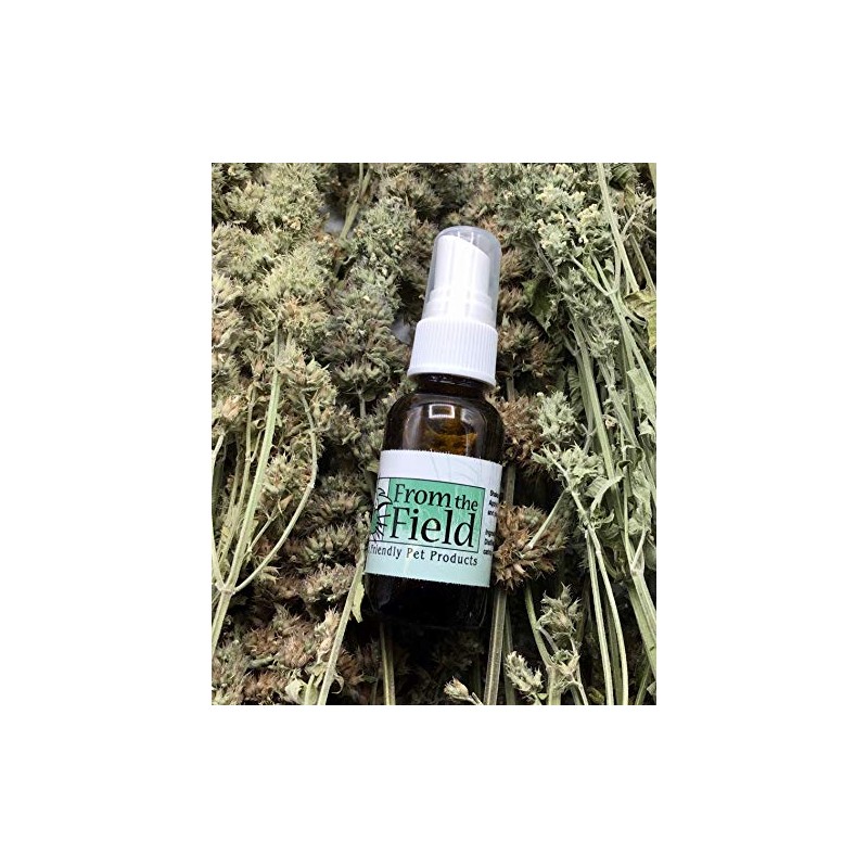 from The Field | Catnip Spray Rejuvenator | Potent Catnip