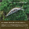 Shimano Cardiff Refrain 45XS Bottom Spec – Trout Lure for