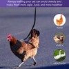 Chicken Harness with Lead, 3 Pieces Chicken Harness, Adjustable, Breathable,