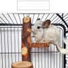 Chinchilla Large Hanging Wooden Rotating Platform - Small Animal Natural