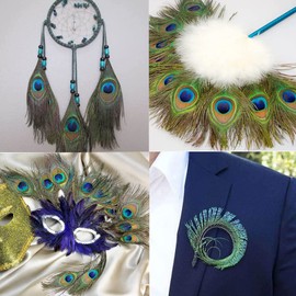 30 Pcs Natural Peacock Sword Feathers, Peacock Sword Feathers Natural Peacock Feathers Peacock Green Tail Feathers DIY Craft Costume Wedding Holiday Party Decoration for Craft Wedding Home Decoration