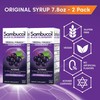 Sambucol Black Elderberry Syrup - Sambucus Syrup, Black Elderberry Liquid,