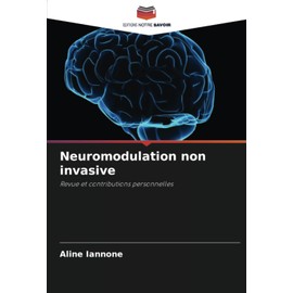 Neuromodulation non invasive: Revue et contributions personnelles