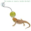 Koomduk 6 Pack Bearded Dragon Toys Balls Bell,Bearded Dragon Accessories,Fit