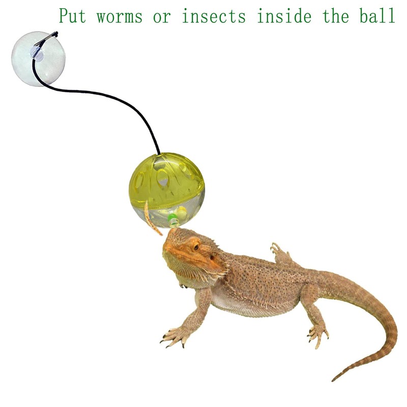 Koomduk 6 Pack Bearded Dragon Toys Balls Bell,Bearded Dragon Accessories,Fit