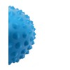 Physical Spiky Massage Balls - 1 Pair - Blue &