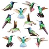 12 Pcs Fly Screen Magnets for Bird Impact Protection, Fly