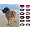 BUDDYPACK Extra Wide Dog Collar with Reflective Stripes, Soft Neoprene