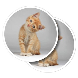 Vinyl Round Stickers (Set of 2) 10cm - Cute Ginger & White Kitten Cat for Laptops, Tablets, Luggage, Scrap Booking, Fridges #63073
