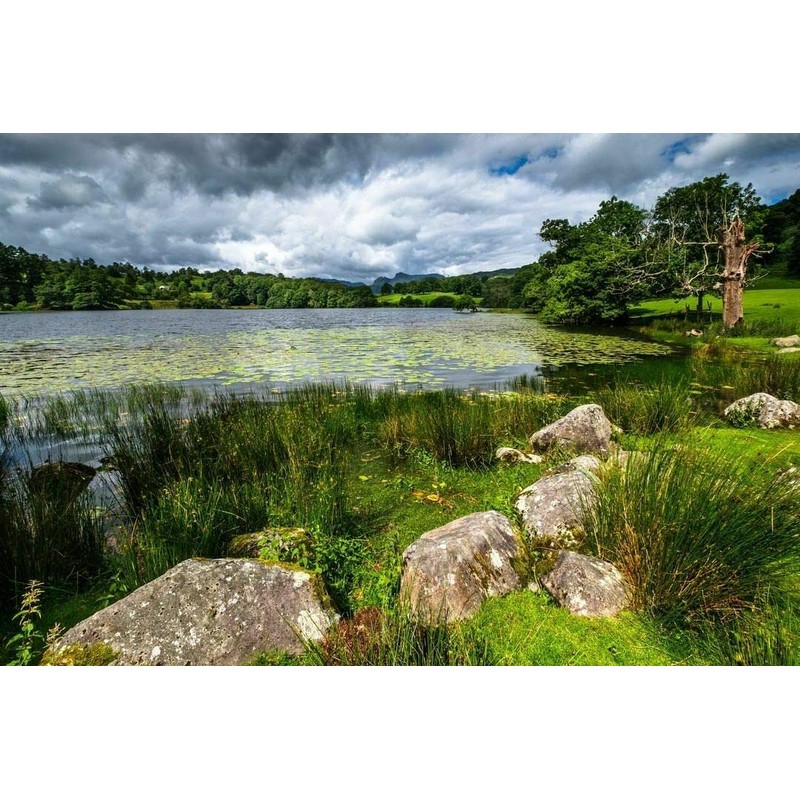 Lee Filters LEE85 85x115mm Neutral Density 0.3 Soft Grad Resin