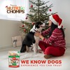 NutriChomps Dog Chews, 5 inch Twists, Mint Flavor, 10 Count,