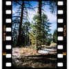 Negative Supply Full-Border Scanning Cassette for Pro Film Carrier 35