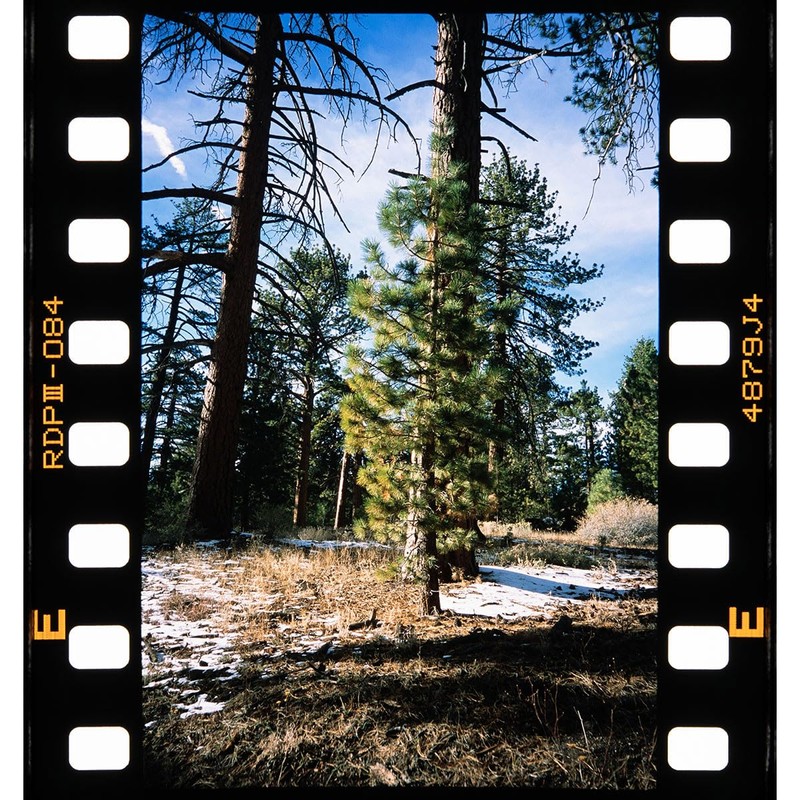 Negative Supply Full-Border Scanning Cassette for Pro Film Carrier 35
