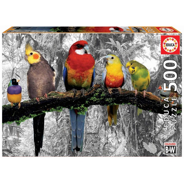Educa 17984 Coloured B&W Series: Birds in The Jungle Puzzle, 500 Pieces, Multicoloured, Piezas
