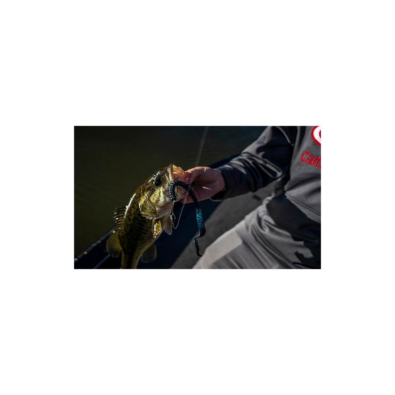 Berkley PowerBait Power Worms Fishing Soft Bait