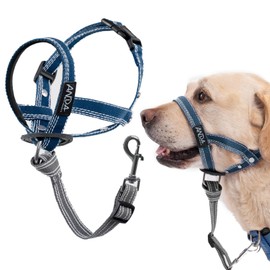 ANDA Gentle Leader Ultra-Light No-Pull Dog Headcollar: Adjustable, Breathable Comfort, Prevents Explosive Rushes, Ideal for Daily Use (Blue, Size 2)