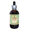 Catnip (Nepeta Cataria) Glycerite, Organic Dried Leaves and Flowers Alcohol-Free