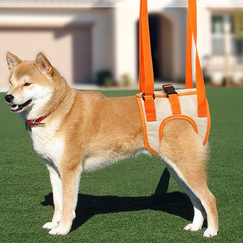 Portable Hind Leg Strap Adjustable for Small Medium Dogs (XL)