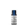 In Essence Roman Chamomile in Jojoba 2.5% Pure Essential Oil