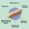 Formula Probiotica Avanzada con 18 Cepas Probioticas Clinicamente Seleccionadas para