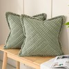 Volcanics Decorative Spring Sage Green Throw Pillow Covers 50x50cm Set