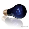 GEX EXOTERRA Night Glow Moonlight Lamp 75W for Nocturnal Reptile