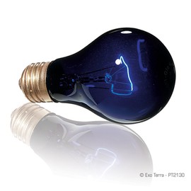 GEX EXOTERRA Night Glow Moonlight Lamp 75W for Nocturnal Reptile